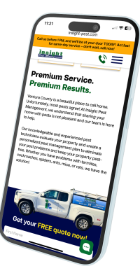 insight pest IMG_7265-left